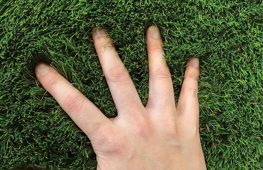 SDターフが選ばれる理由