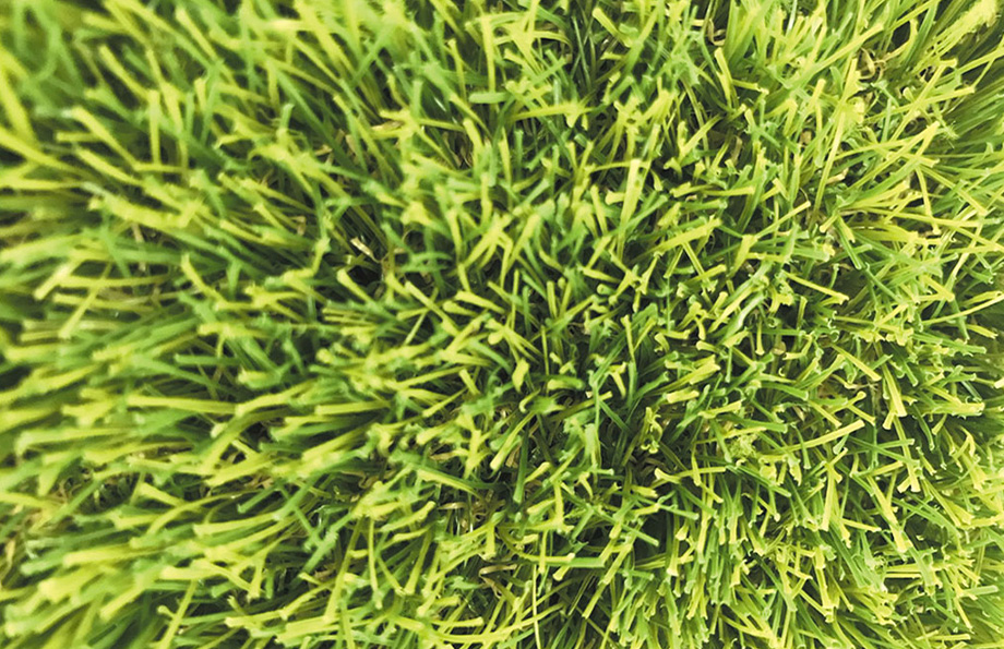 SDターフが選ばれる理由