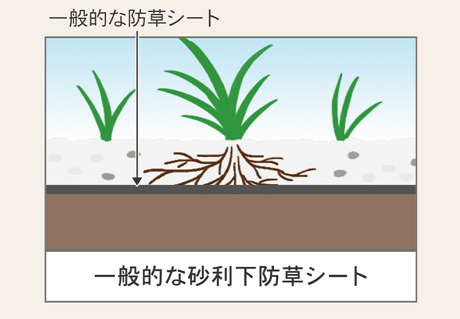 商品説明