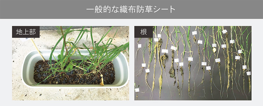 商品説明