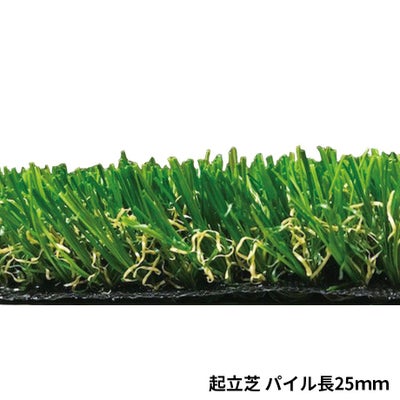人工芝】スターグラス 起立芝ロング パイル長35mm 1m×10m | Sadaラク
