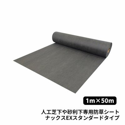 000000000447-01.jpg?size=m&w= 